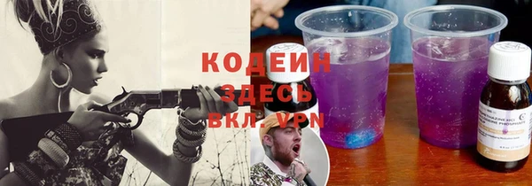 крисы Каменка