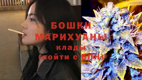 крисы Каменка