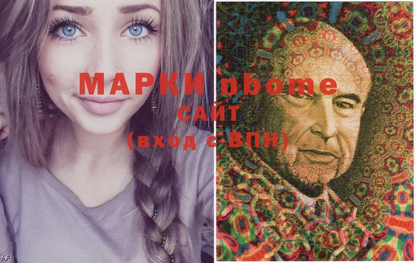 крисы Каменка