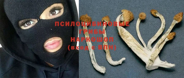 jwh Каменногорск