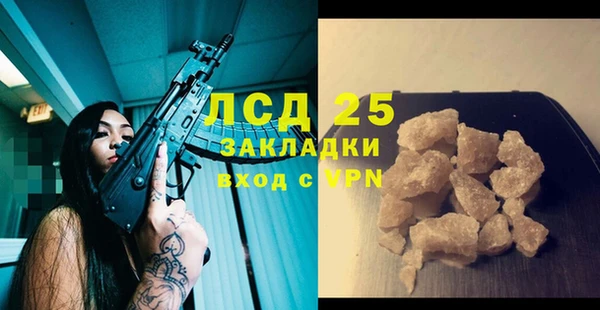 крисы Каменка