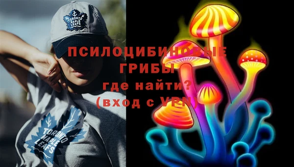jwh Каменногорск